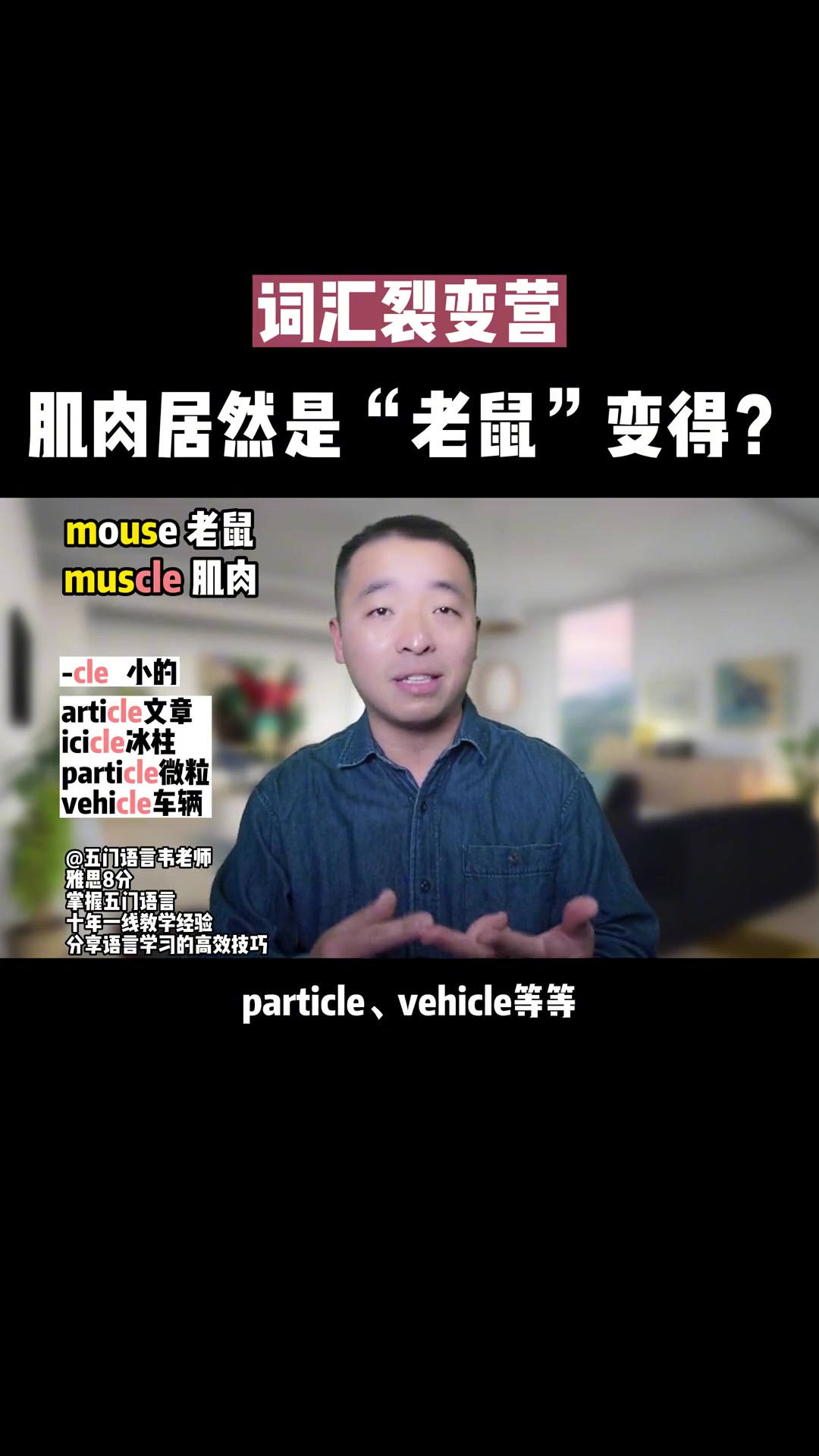 第35集|老鼠mouse和肌肉muscle是“同”一个单词?!自然拼读 零基础英语 背单词