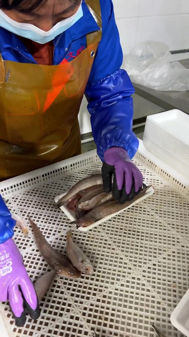 给大家看看两斤的杂鱼包里面都有什么鱼 海鲜原产地 野生海捕 海鲜品质优选 源头实力厂家 海