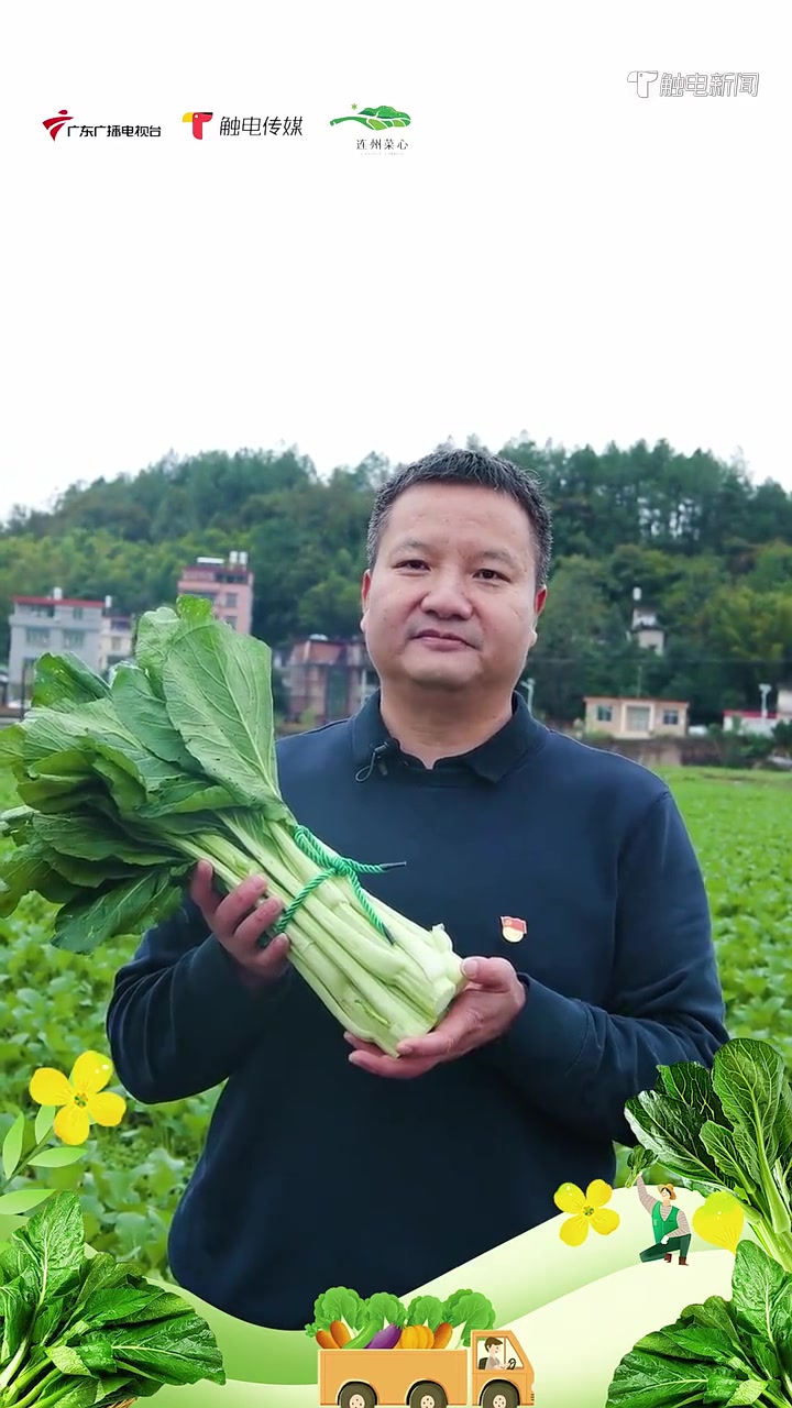2022年连州菜心开卖节即将来袭!连州市委常委、副市长綦鸿伟邀你一起来为又脆又甜的连州菜心