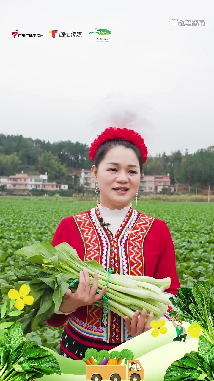 2022年连州菜心开卖节即将来袭!连州市委常委、组织部部长李心怡邀请全球吃货共品最甜菜心,