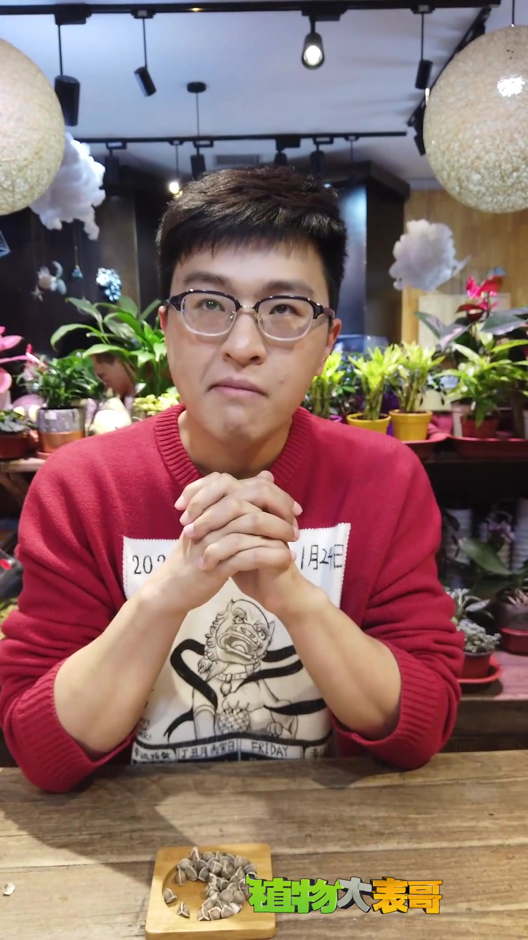 大家了解辣木籽吗
