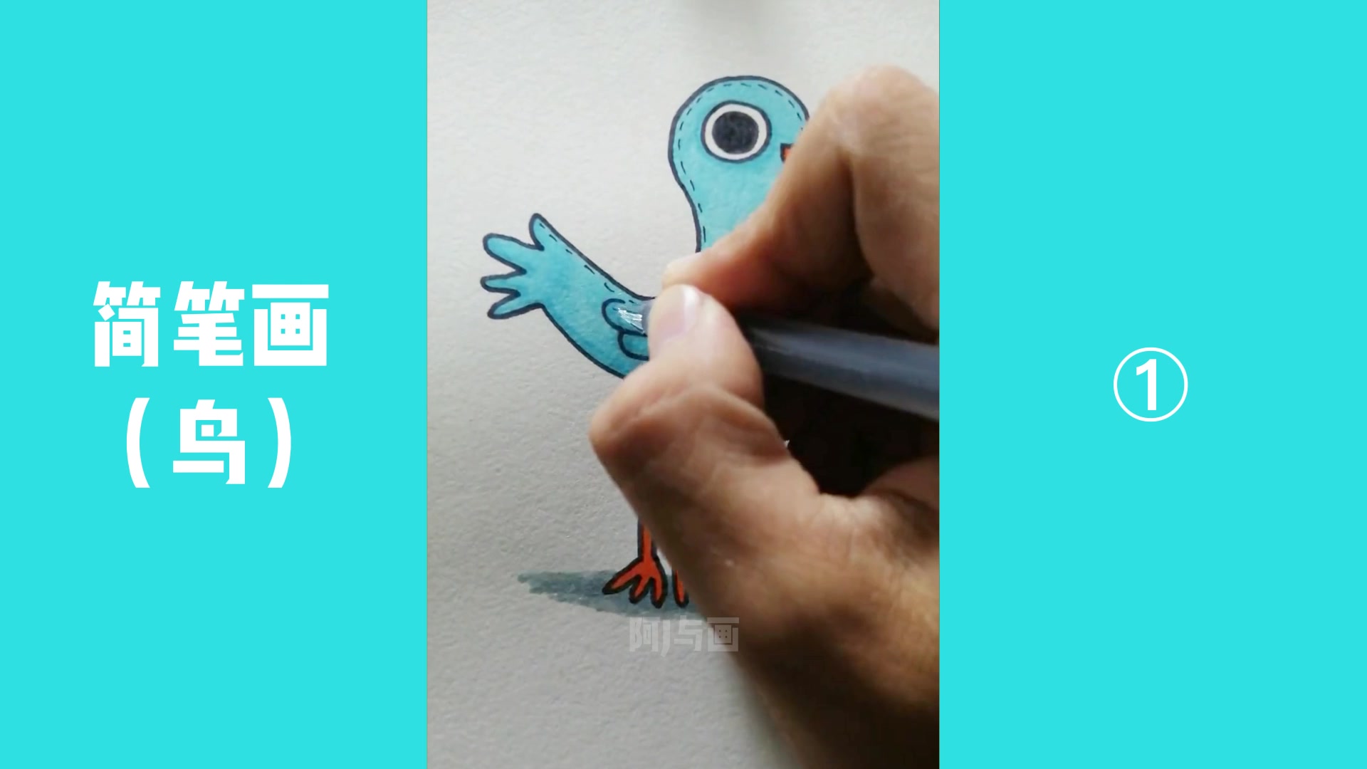 【鸟的简笔画】01:分享各种鸟的简笔画