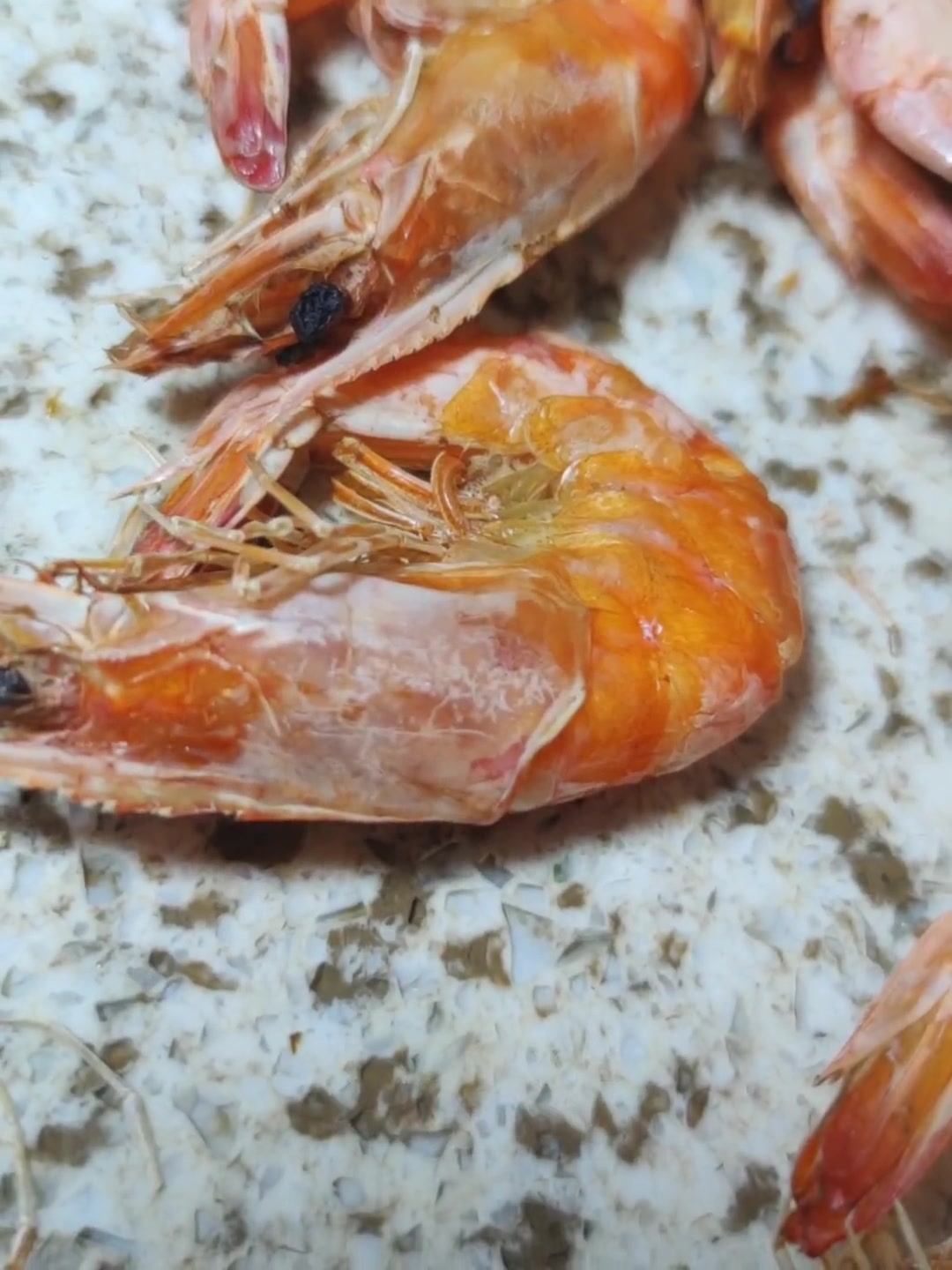 烤虾教程