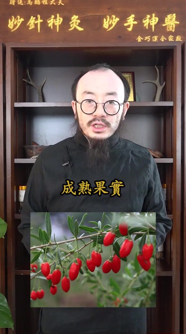 第1集|你真的了解枸杞子吗?枸杞子竟然还有这样的功效!