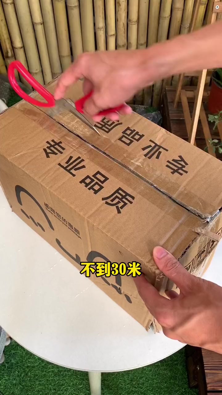 带盆发货的多肉组合，不用打理直接养