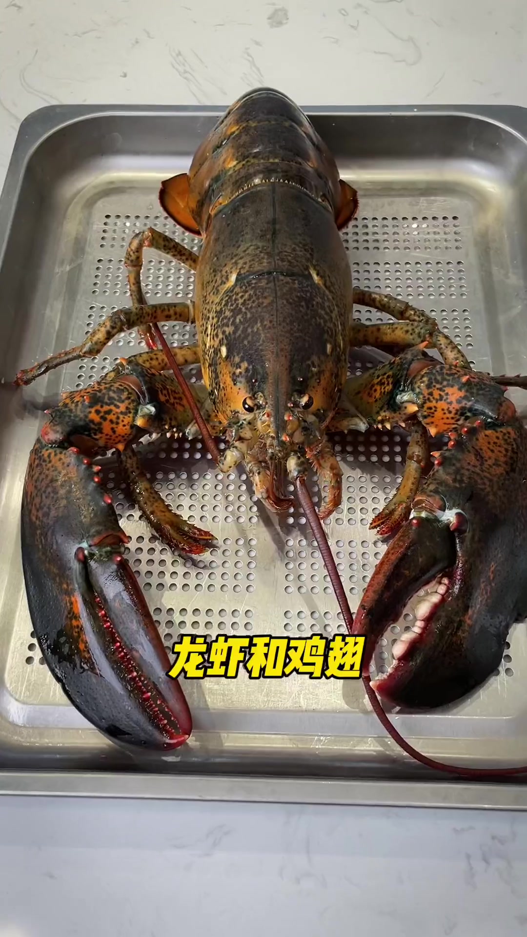 蒸箱烤箱空气炸锅无处安放?今天实测方太集成烹饪中心到底怎么样 方太厨房的一万种想象夜 和方