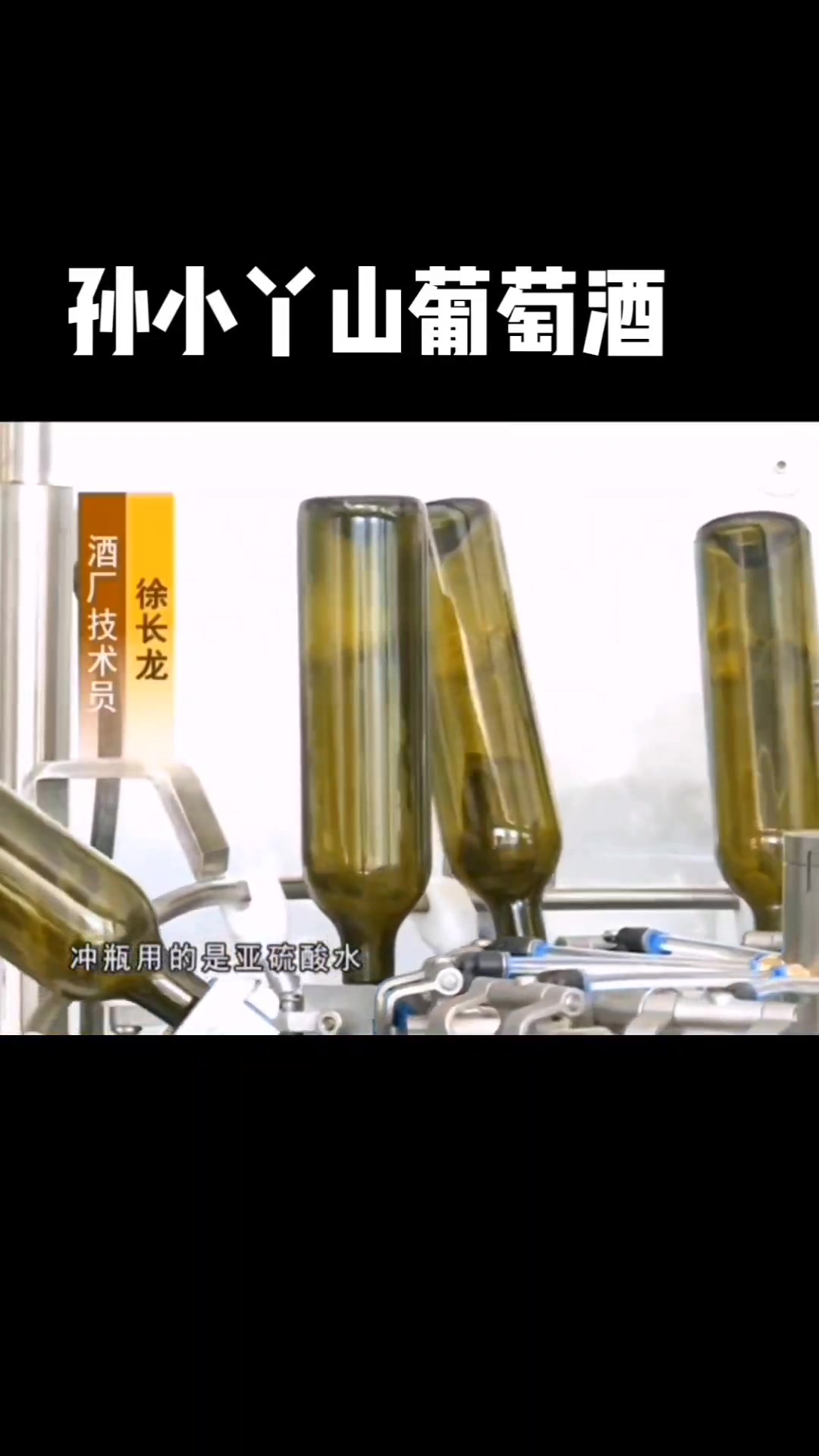 孙小丫品牌山葡萄酒介绍