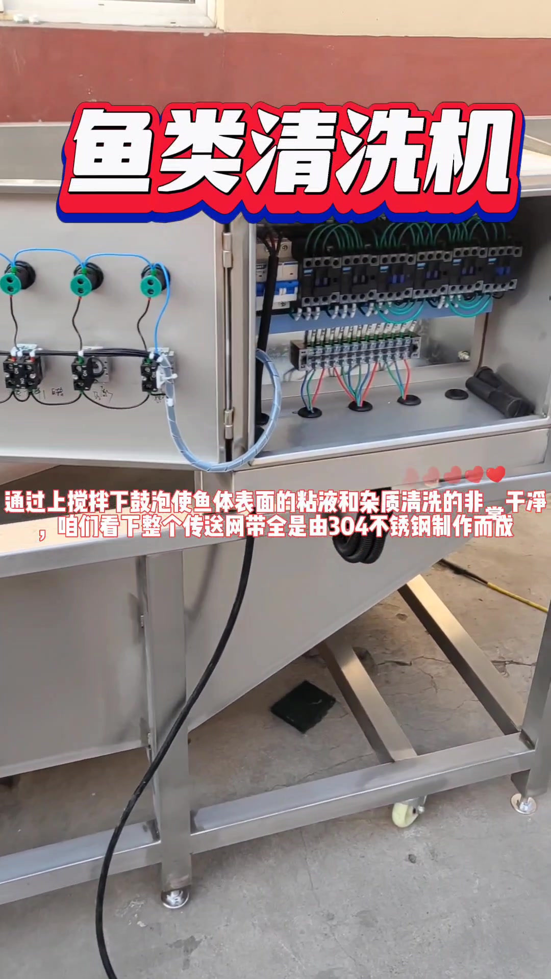 洗鱼清洗机 带鱼清洗设备 黄花鱼清洗机器 海鲜气泡清洗机商用
