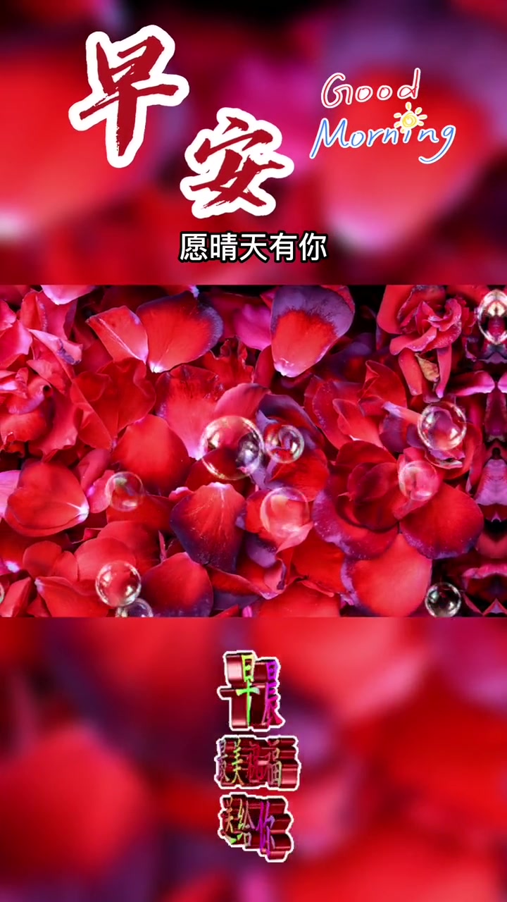 今天是12月17日星期六,早上好呀,又是愉快的周末开始了,愿晴天有你,雨天有你,风风雨雨中