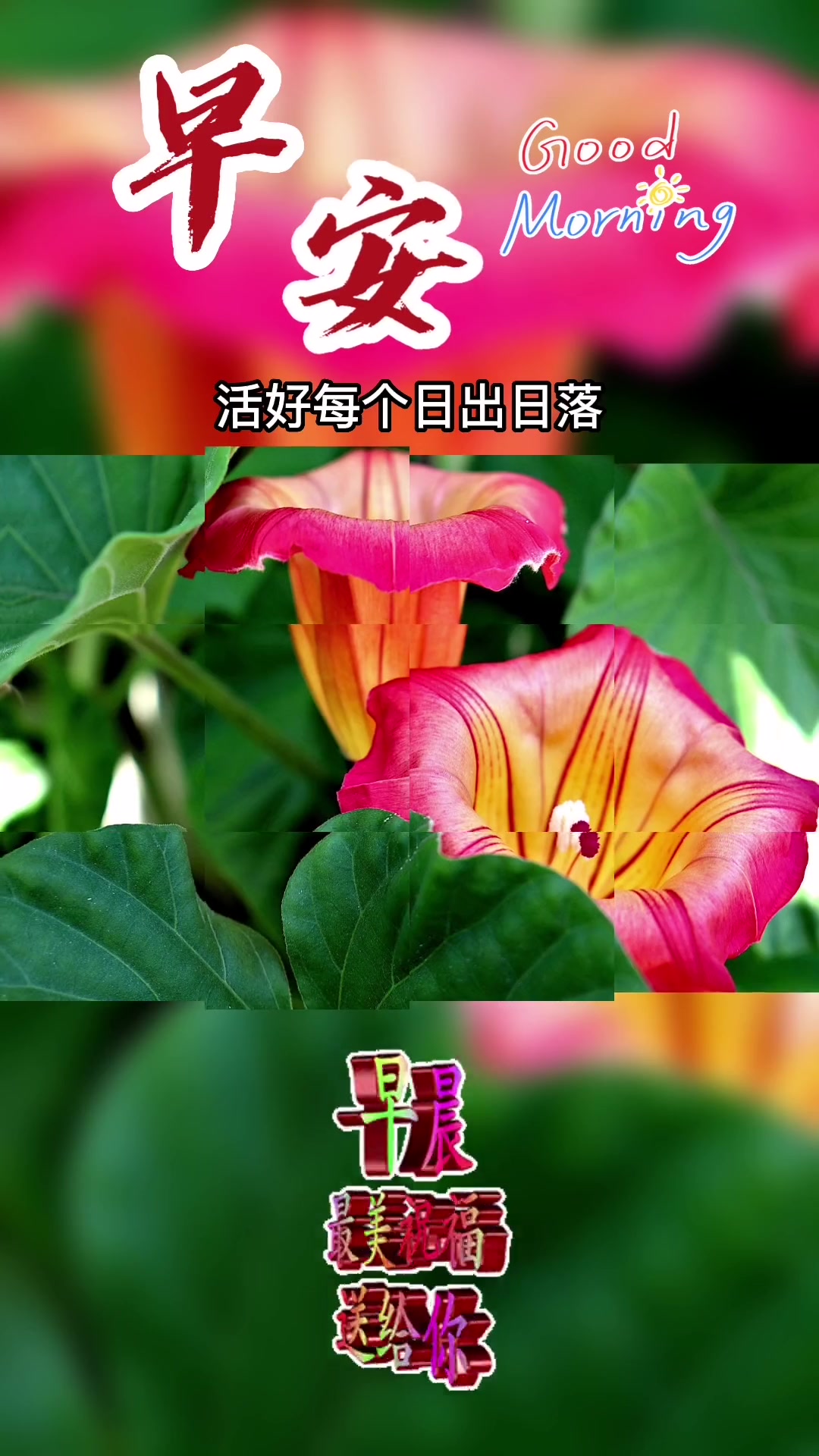 今天是12月15日星期四,早上好呀,岁月里,高兴就是幸福,开心就是收获,生活中,快乐就是福