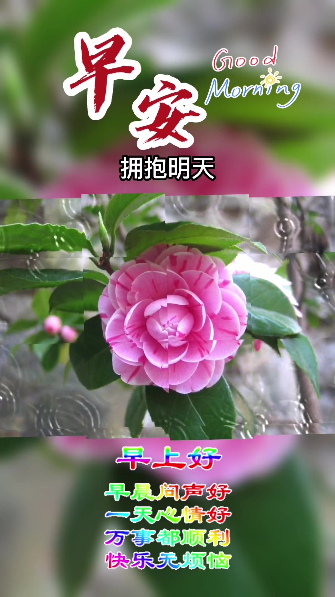 今天是11月6日星期日,早上好呀,眨眼就是一天,扭头就是一年,转身就是一辈子,人生有太多的