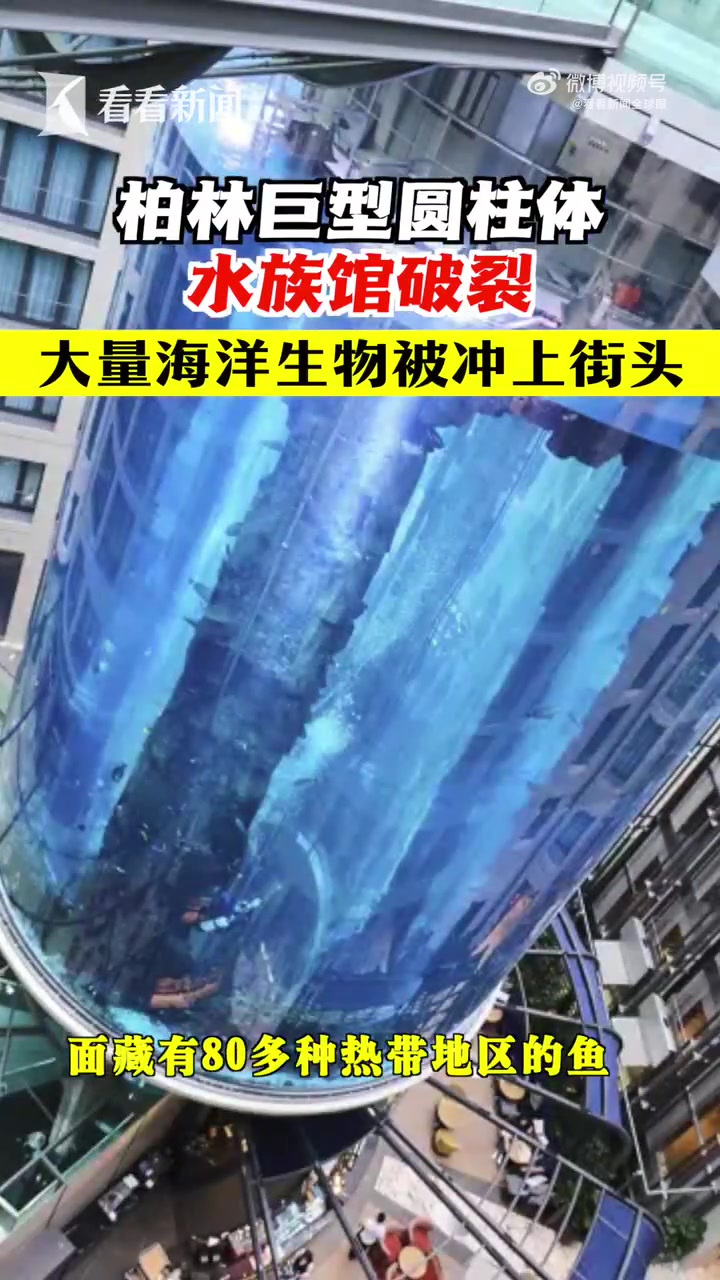 「柏林一水族馆破裂 数百只海洋生物被冲上街头」当地时间12月16号,位于德国柏林一家酒店内