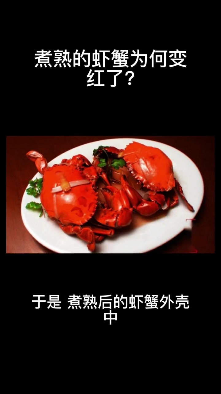 煮熟的虾蟹为何变红了?冷知识 我要上热门 涨知识 科普 知识分享 冷知识科普 你不知道的冷
