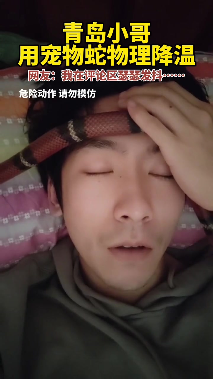 12月17日山东青岛,尤先生发烧后,顺手拿养3年的宠物蛇降温。网友支招:鳄鱼面积大……
