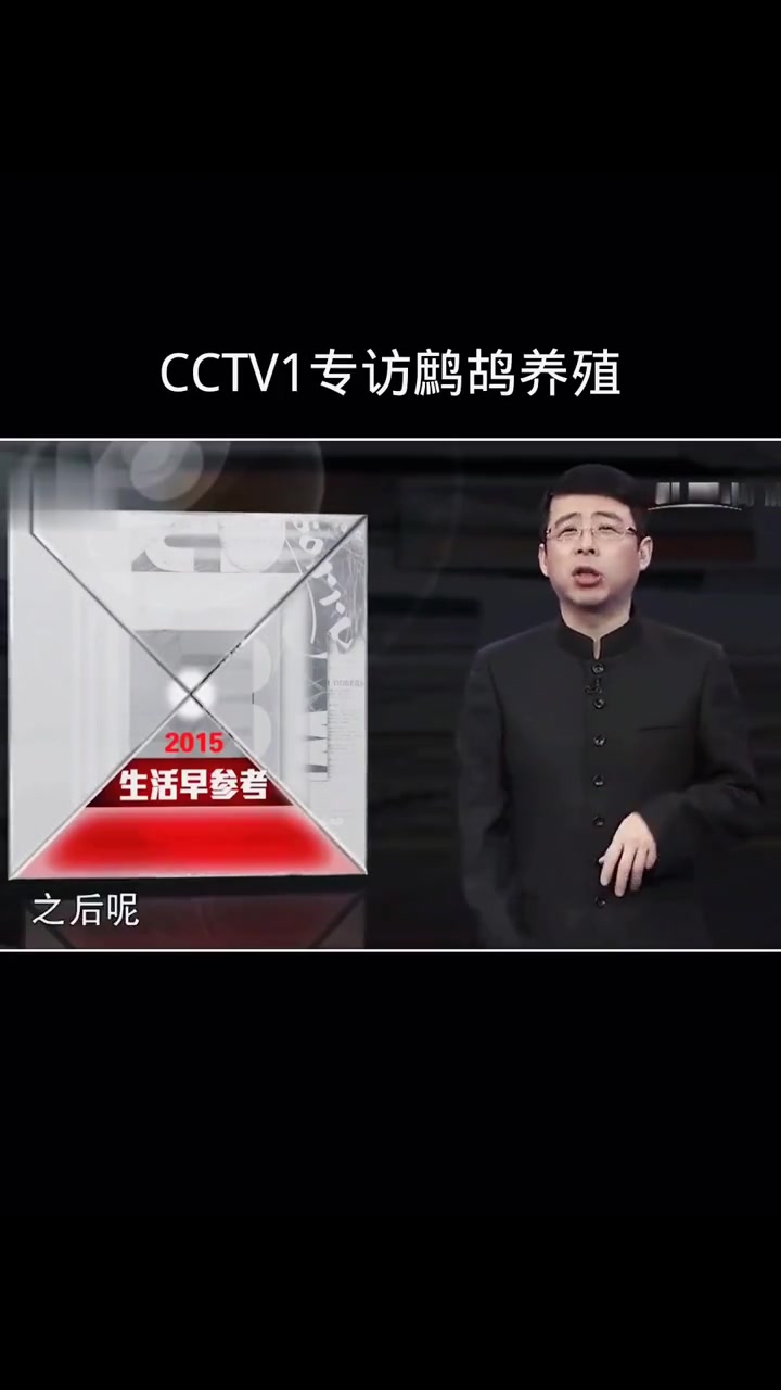 中国中央电视台一套专访山东单县鹧鸪养殖丁华东 美国鹧鸪石鸡嘎啦鸡飞龙养殖 鹧鸪养殖技术 鹧