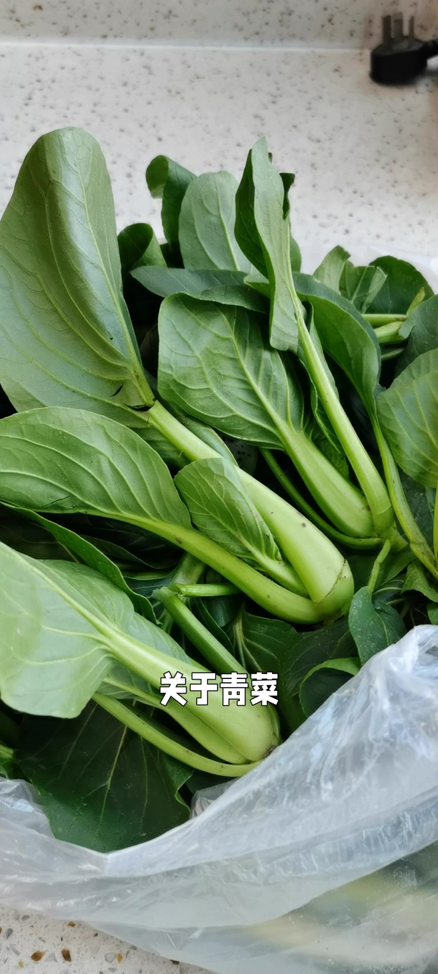冬日家常菜慈菇烧肉和青菜豆腐