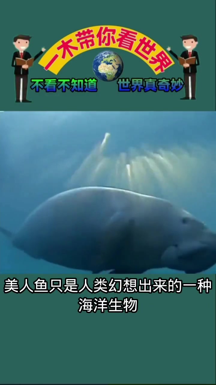 地球上真的有美人鱼吗?1975年印度抓到一只活的,专家看后傻眼了 看世界 奇闻异事