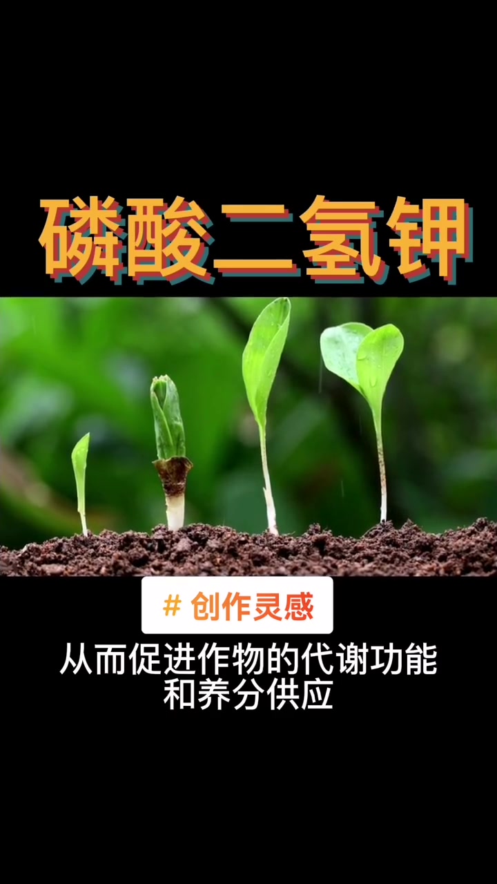 创作灵感 干货分享 磷酸二氢钾 种植小技巧 农业种植 有机蔬菜