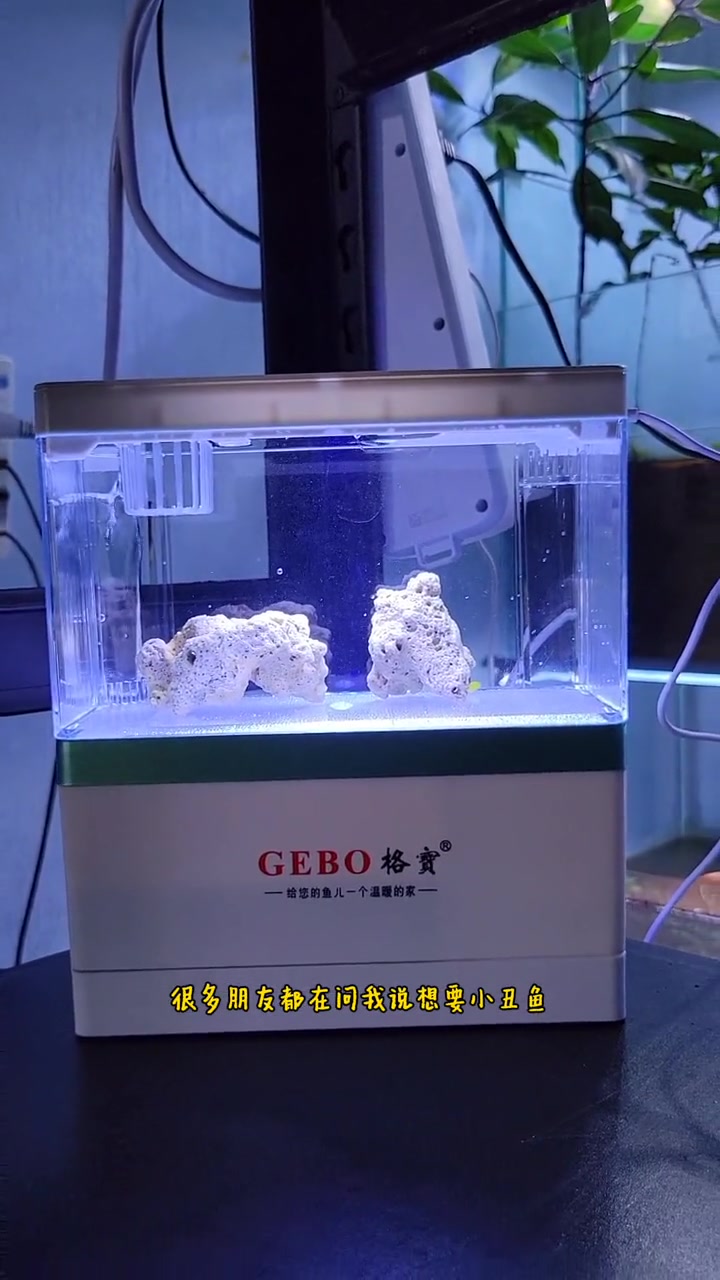 给大家推荐百元以内的,后面两款小鱼缸,这是可以饲养海水生物的,喜欢的朋友下单就好啦!水族 