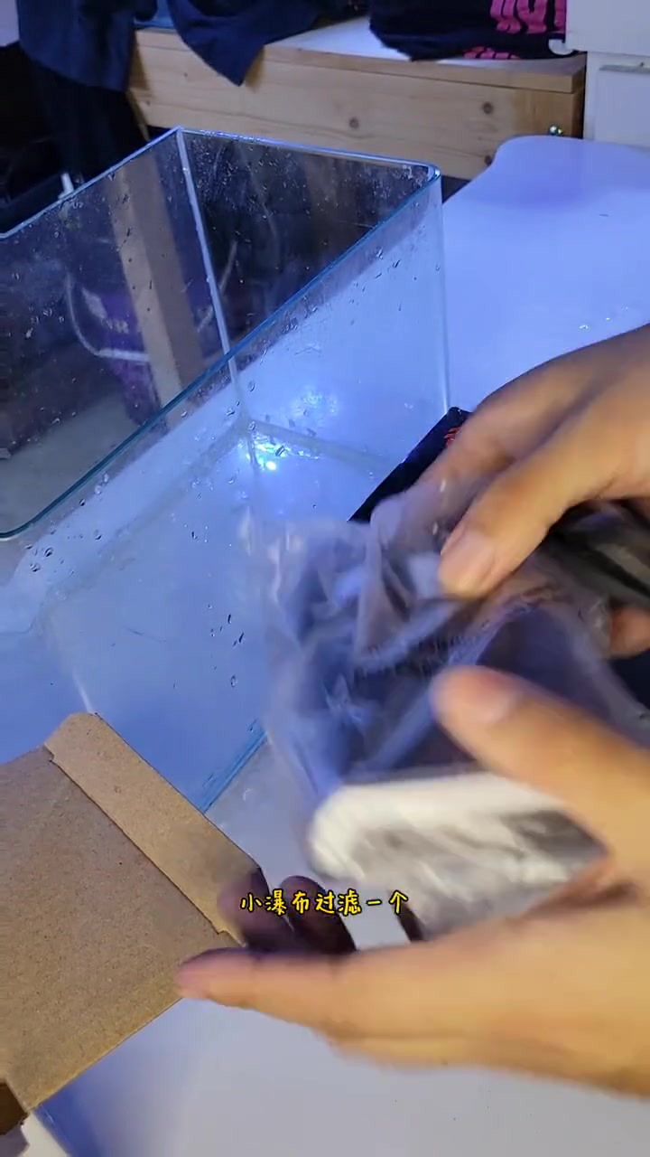 第8集｜海缸小知识，(5)用最便宜的设备饲养海水生物(美观、简洁、大气) 小丑鱼繁殖 海水