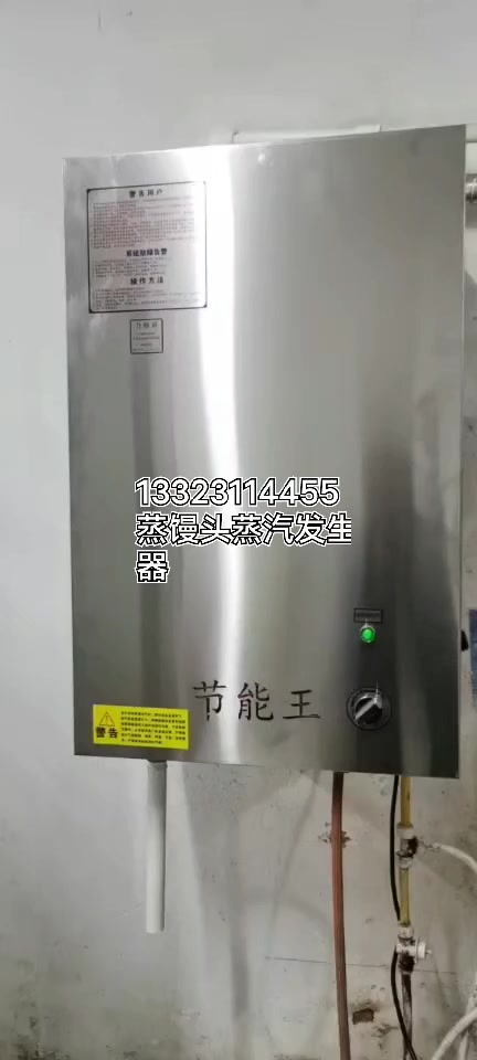 蒸馒头蒸汽发生器液化气蒸汽机