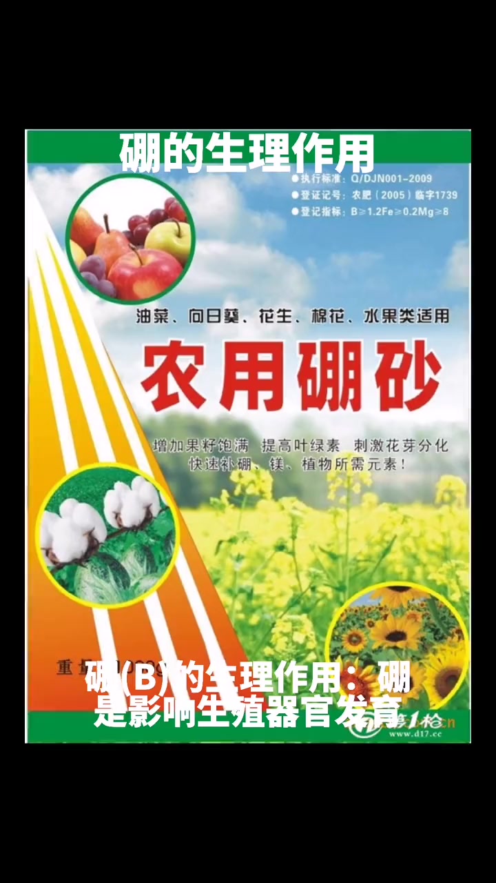 第6集|硼的生理作用!硼肥 微量元素 土壤检测 羊粪
