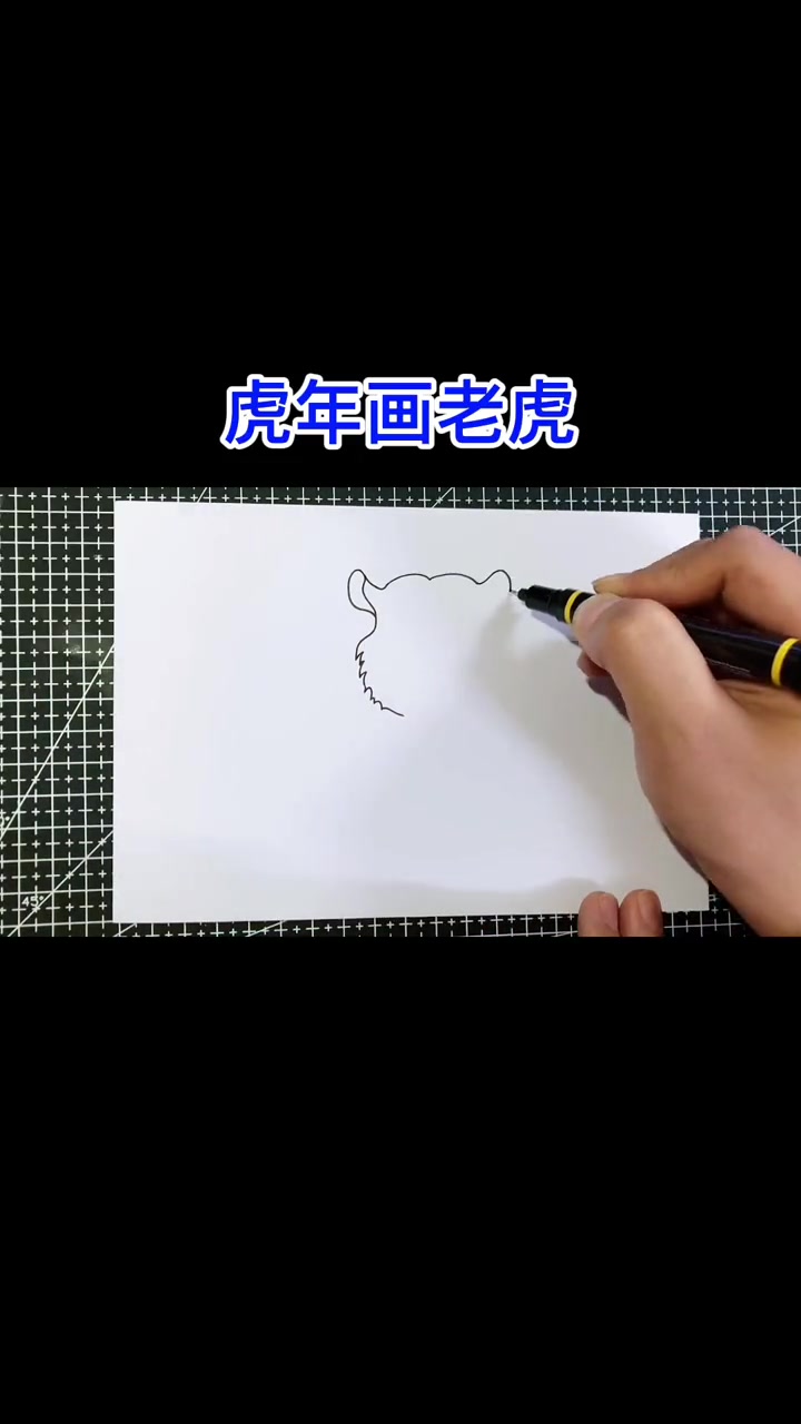 海豚知道 虎年画老虎,卡通简笔画老虎的画法,收藏备用 简笔画教程 画画教程