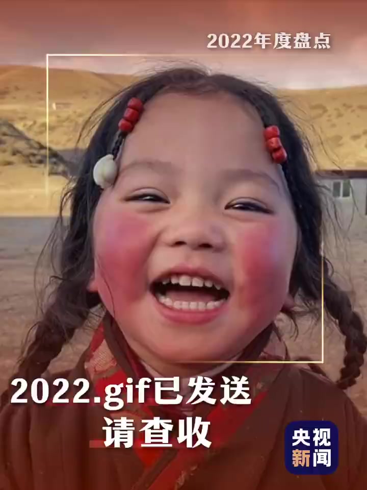 用斗图方式记录2022的有爱瞬间「心」航天版“来了老弟”,冬奥版“累了,‘墩’一下”,中国