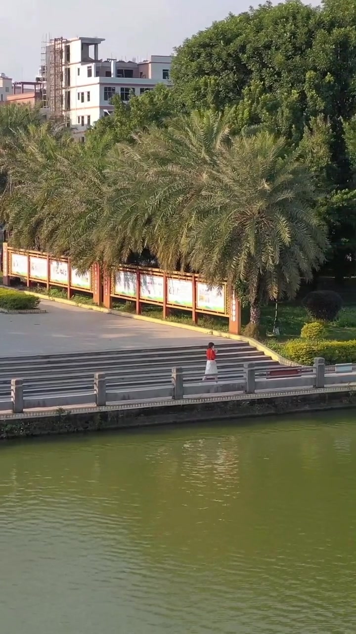 惠州水口街道办外的一个小湖泊,如今建成法治文化公园,感觉还是很舒服的。航拍惠州 公园湖边美