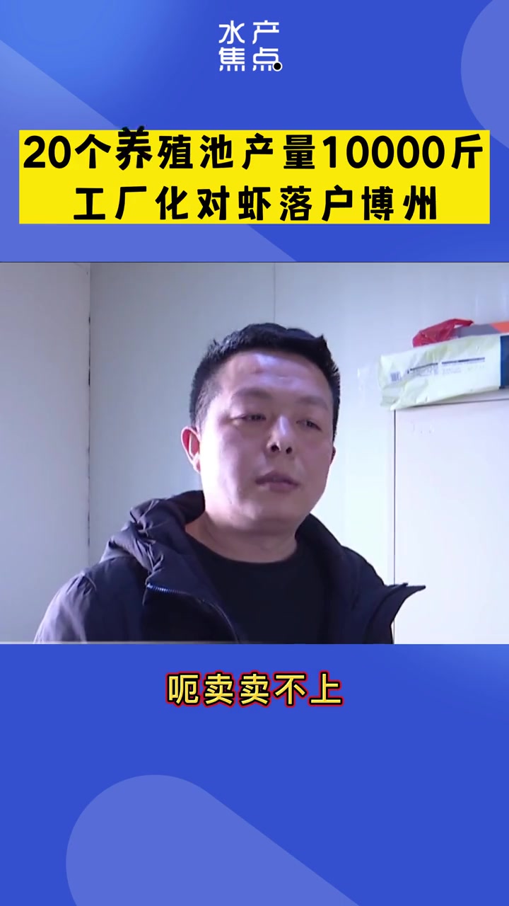 第45集|工厂化对虾遍地开花,新疆博州迎来对虾丰收季!工厂化养殖南美白对虾 水产资讯 龙昌