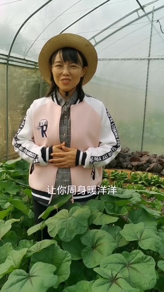 现在天气冷了,种耐寒的冬寒菜吧!从幼苗到开花前都可以采收,吃的时间长