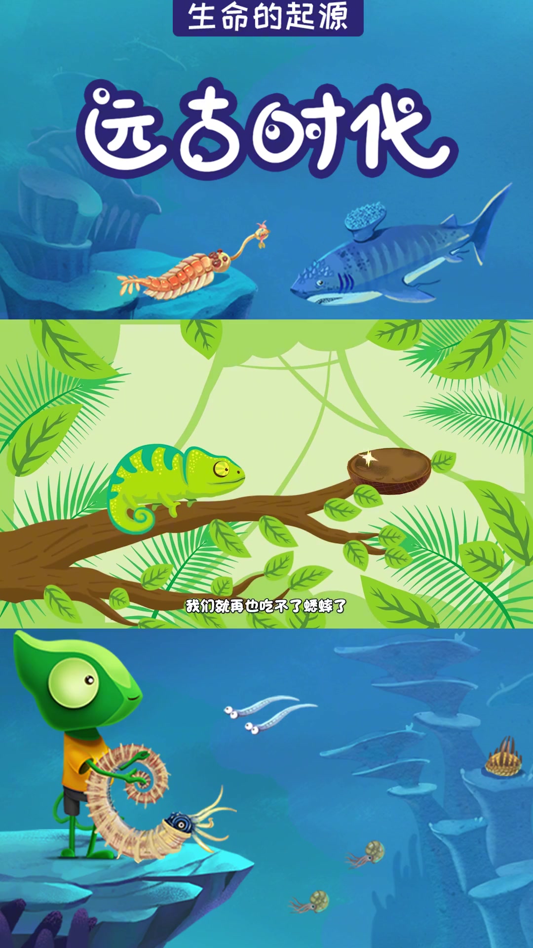 寒假充电指南 萌知计划 鲸鱼的祖先居然长得和狼一样?它是怎么一步步进化成现在的样子呢……