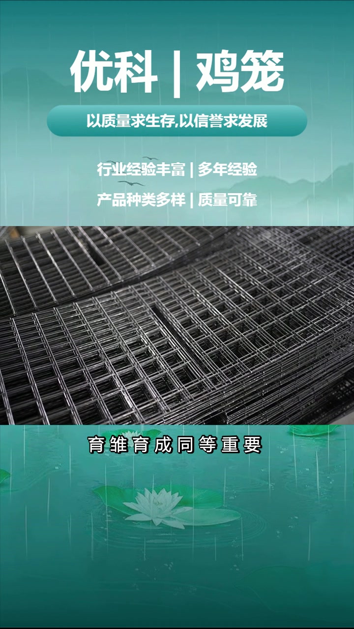 广东人注意了!自动化鸡笼,特价抢购中!自动化鸡笼 广东自动化鸡笼 广东自动化鸡笼报价