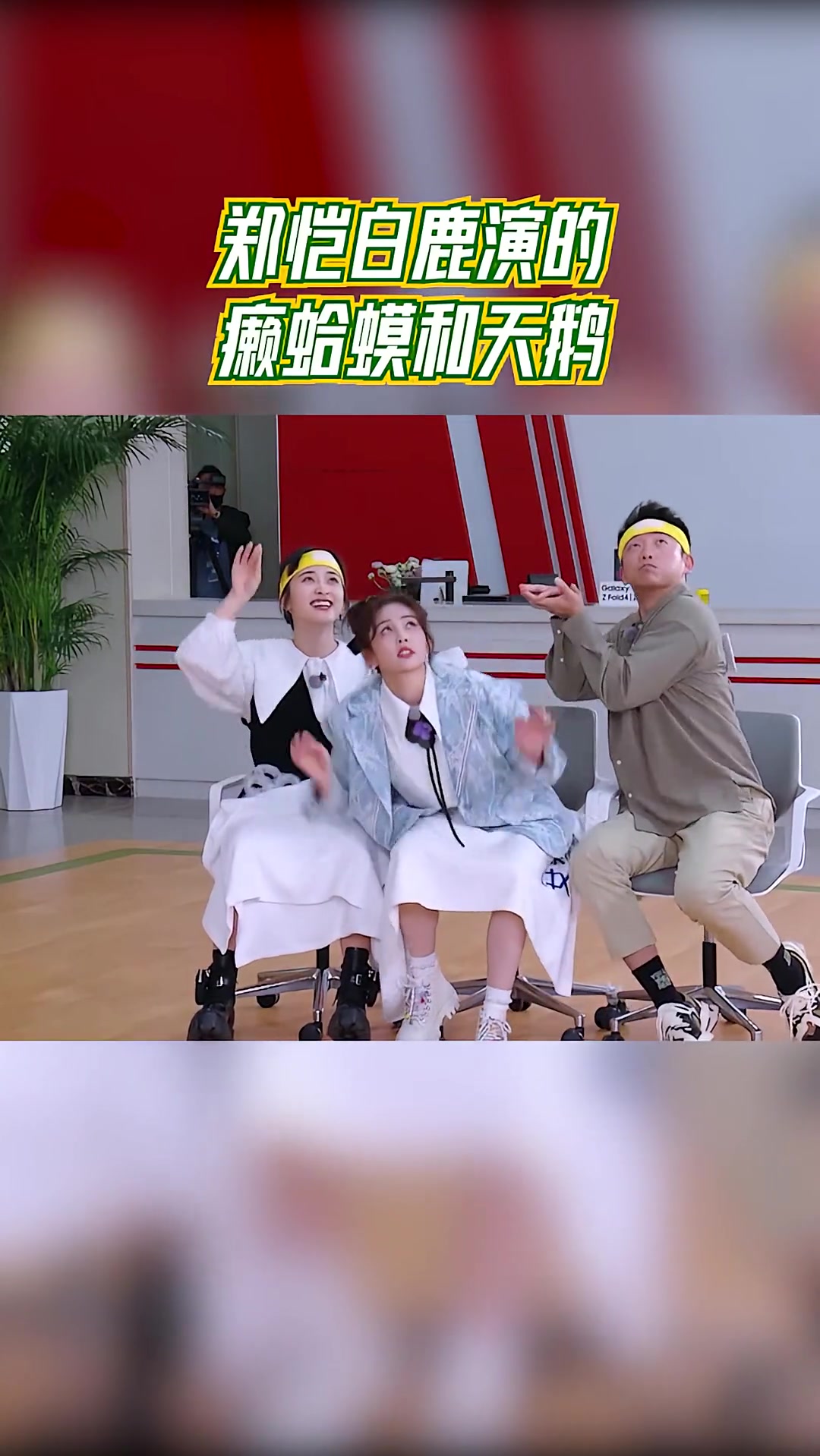 奔跑吧 奔跑吧 郑恺白鹿演的癞蛤蟆和天鹅