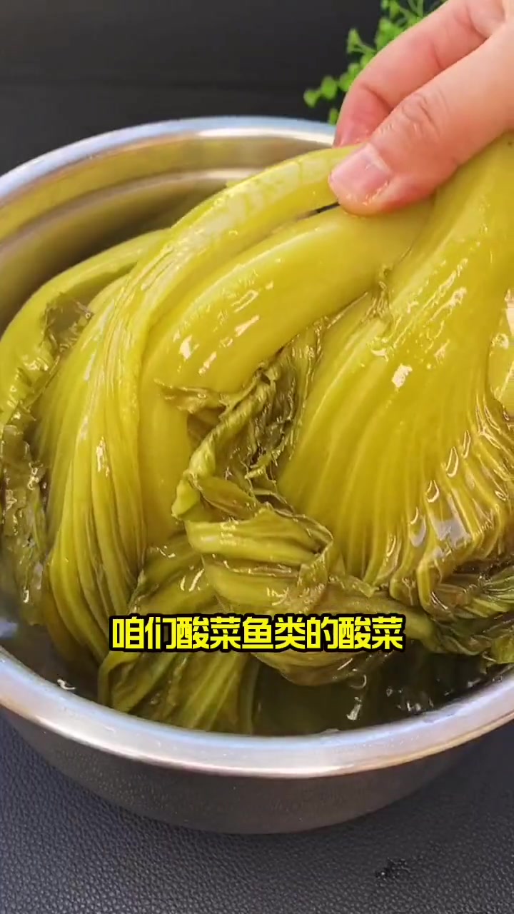 包心芥菜,可以种了 种菜 我的小菜园 种子 蔬菜种子 田园生活