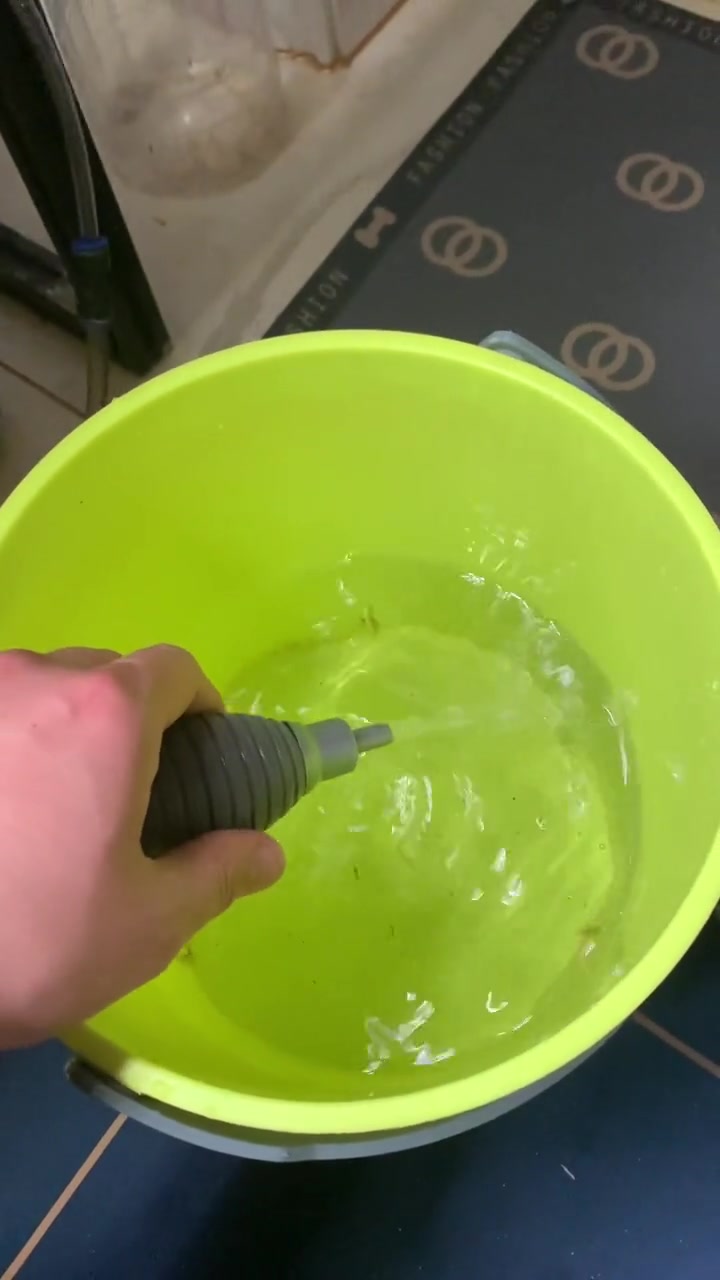 虹吸管如何使用,讲解虹吸原理 养鱼日记 观赏鱼 养鱼人 水族 鱼缸里的大自然