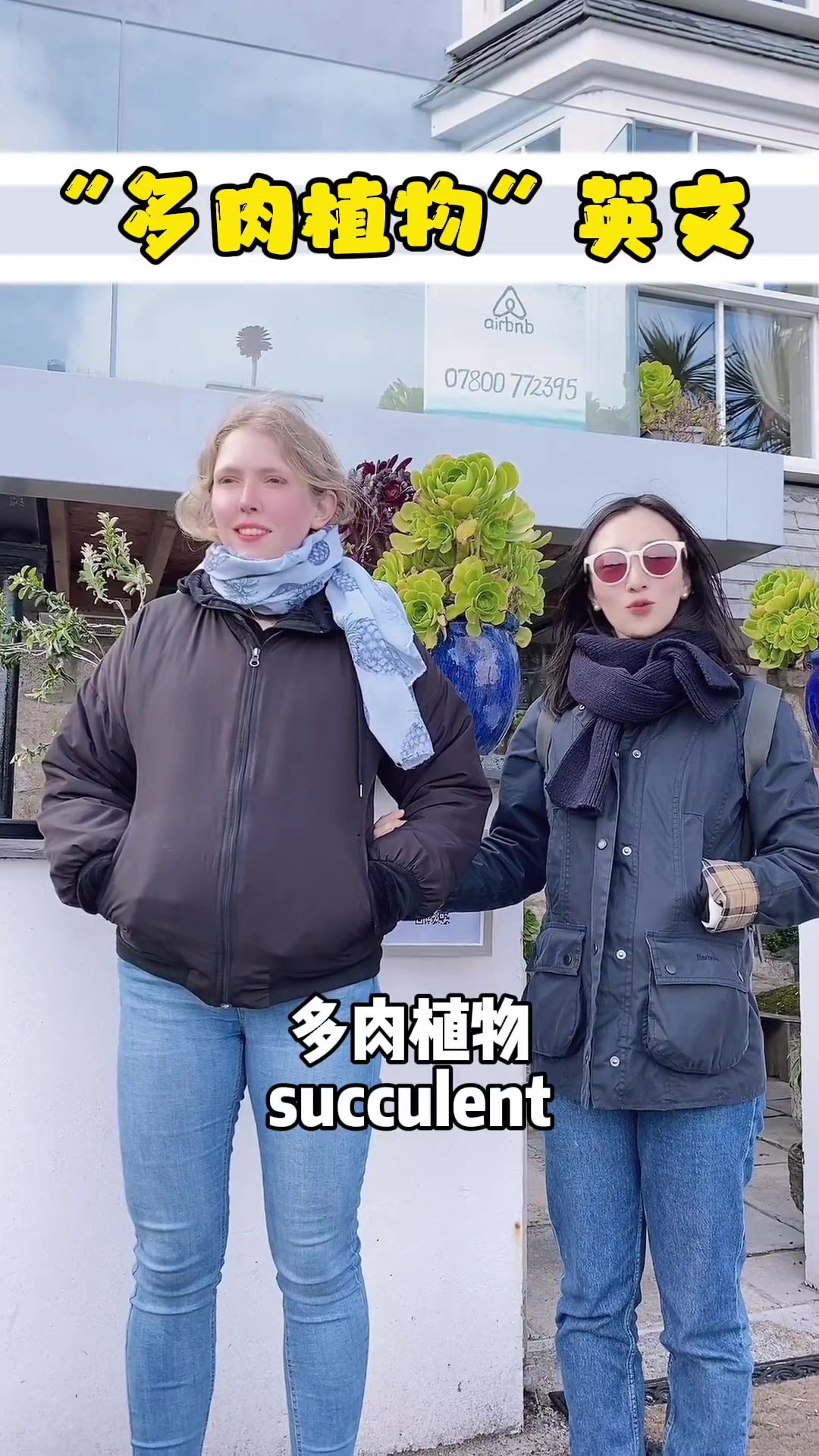 多肉植物 英文表达 英语 学英语