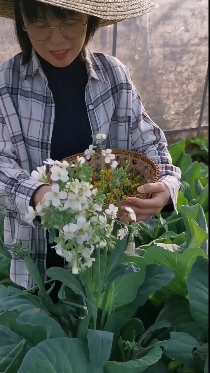 蔬菜开花也很漂亮的,您能认出来这都是什么蔬菜吗?