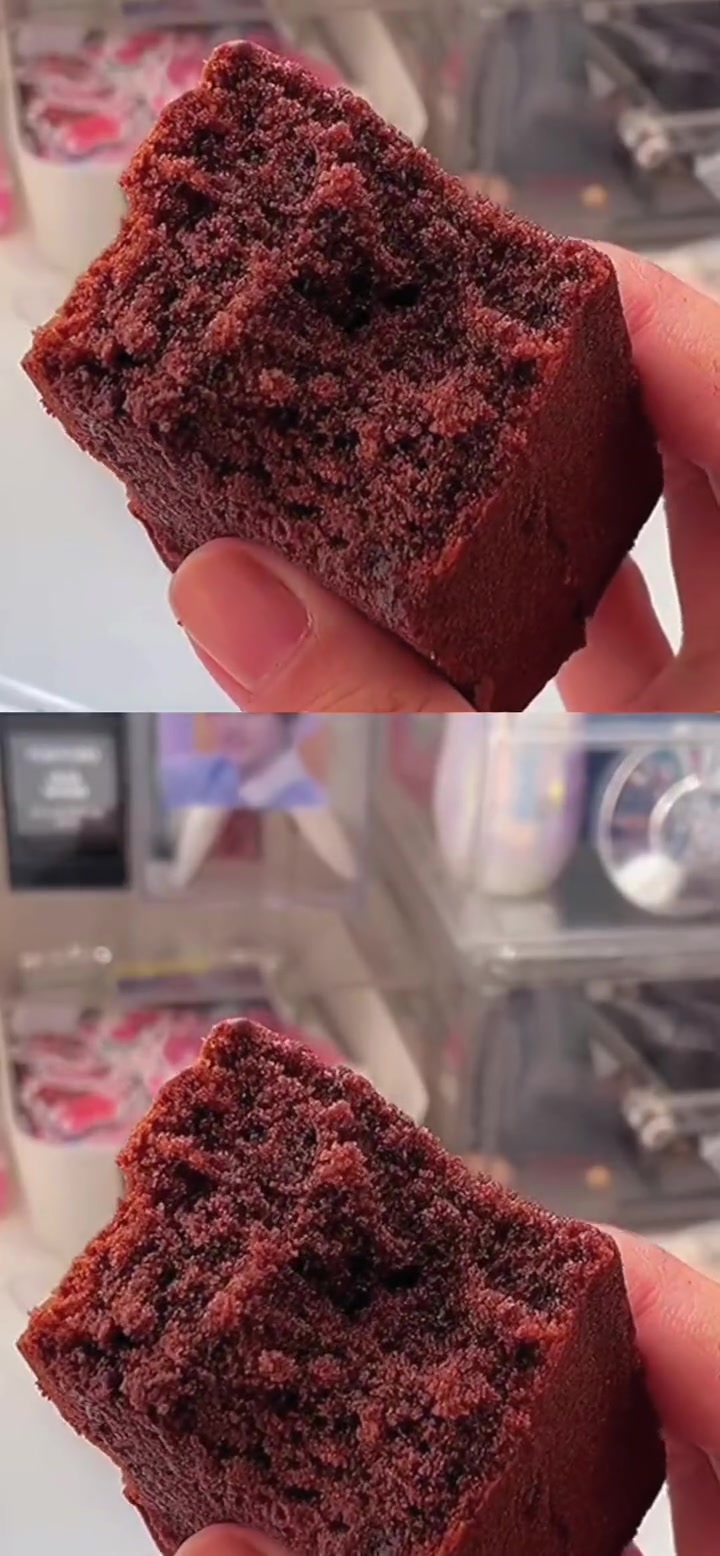 豫见东风 桃李面包 布朗尼面包 甜品烘焙 网红蛋糕