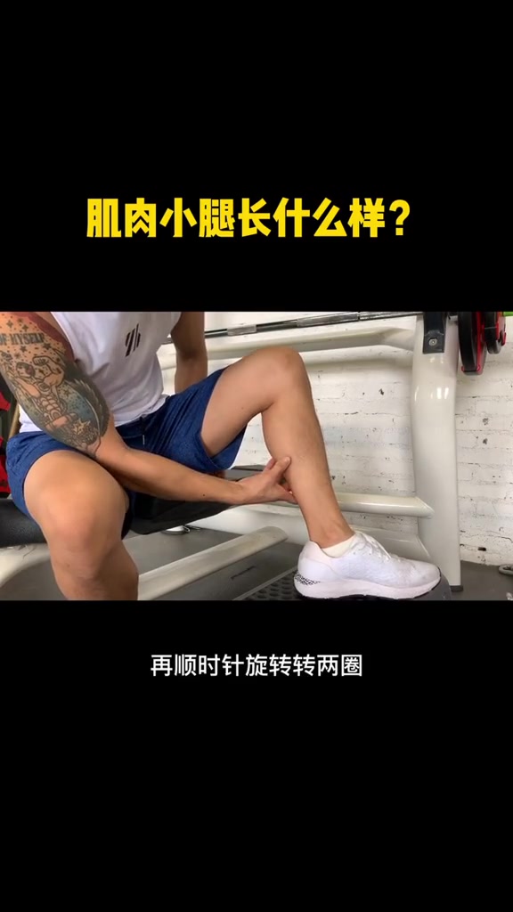 肌肉腿长什么样