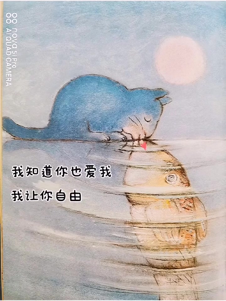 每日绘本故事《亲爱的小鱼》猫爱上了鱼,会发生什么故事呢?每日亲子陪伴