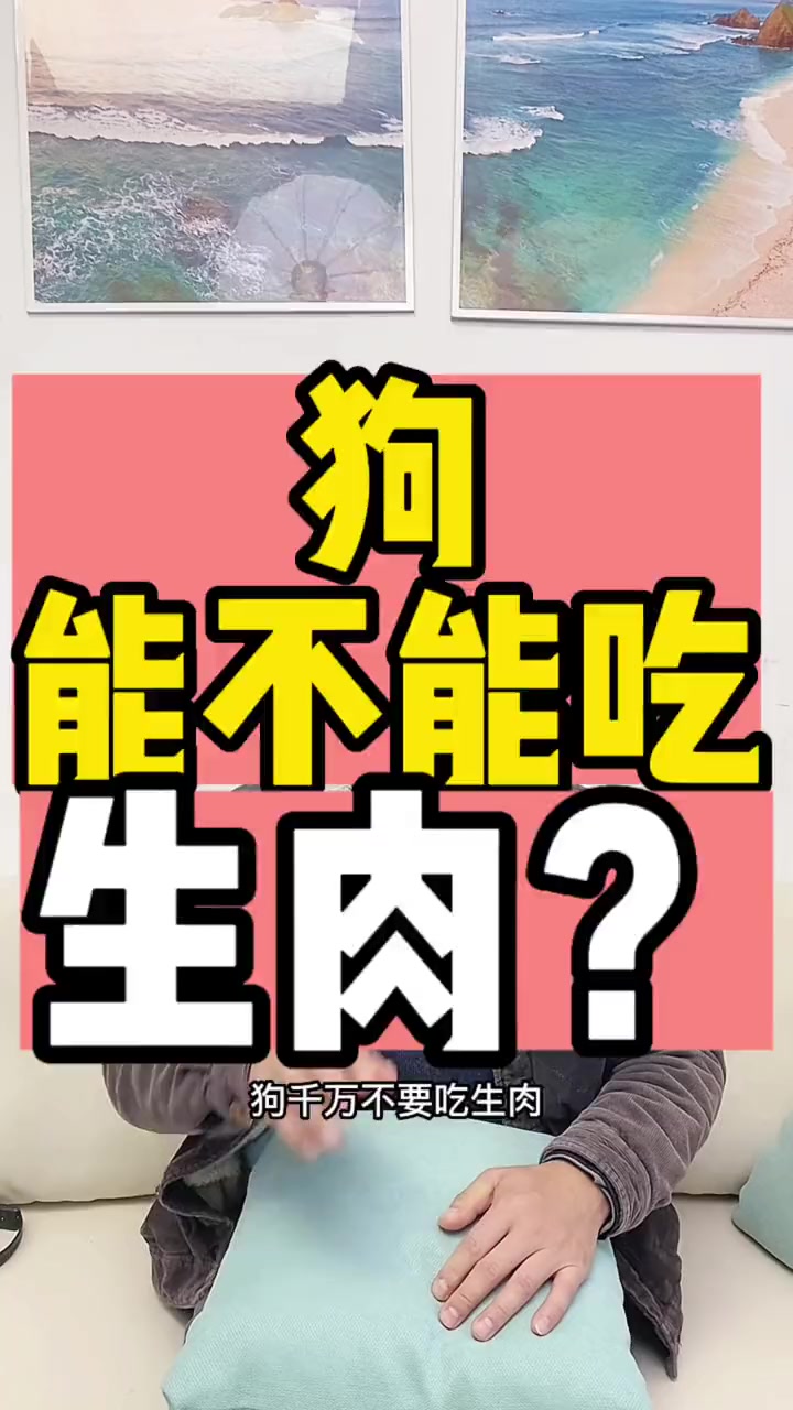 狗到底能不能吃生肉?新手养狗 科学养宠攻略 养宠进阶指南 养狗小知识 宠物知识 +上热门
