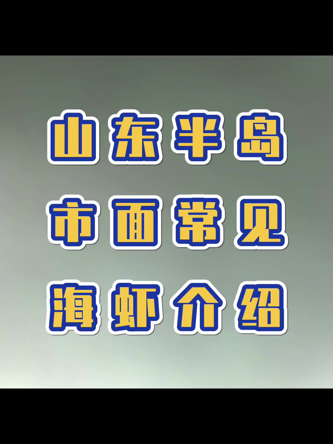 第6集|山东半岛市面常见海虾介绍。香喷喷的油焖大虾,麻辣的虾火锅,口水都要流出来了。小伙伴