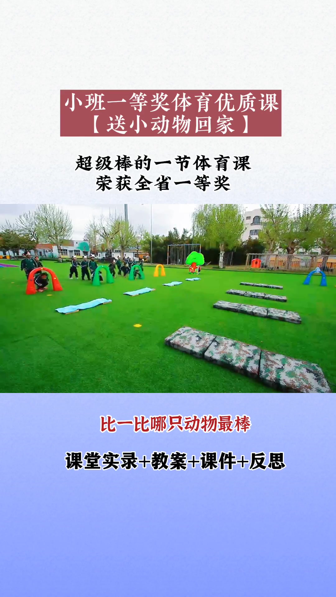 幼儿园体育公开课 幼儿园小班体育公开课 小班体育公开课 小班体育一等奖公开课《送小动物回家