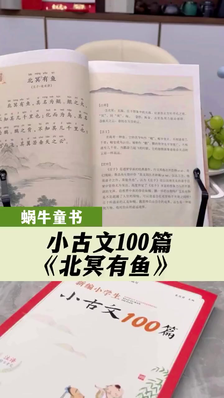 小古文100篇 北冥有鱼,其名为鲲。国学经典 好书分享 小学生