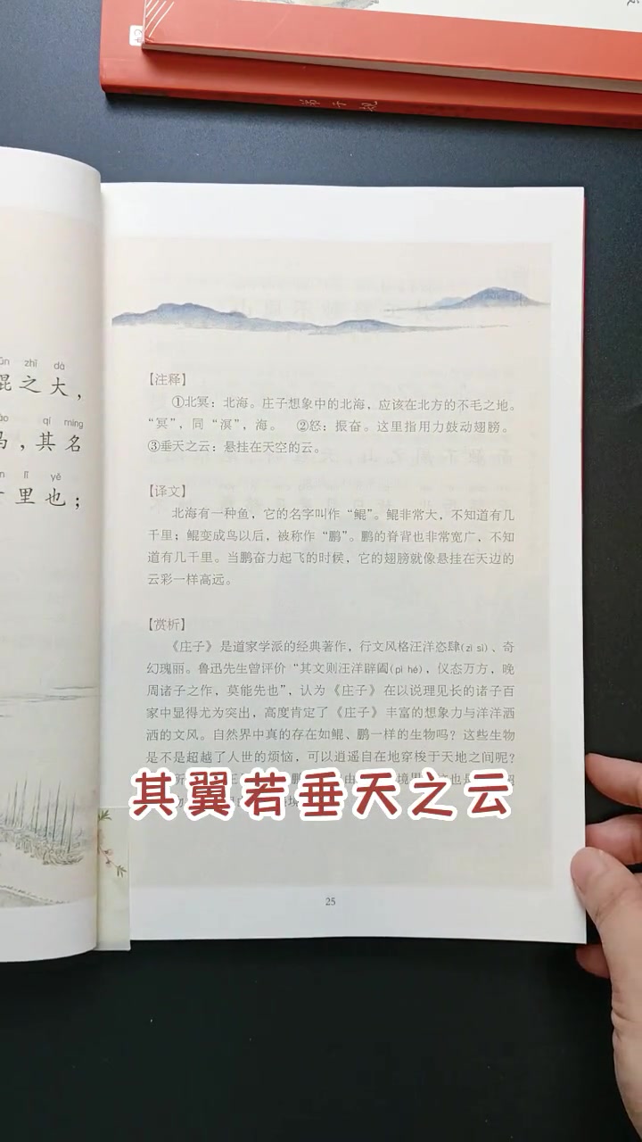 小古文100篇 北冥有鱼,其名为鲲 国学经典 好书分享 弘扬国学经典文化 in宝贝计划
