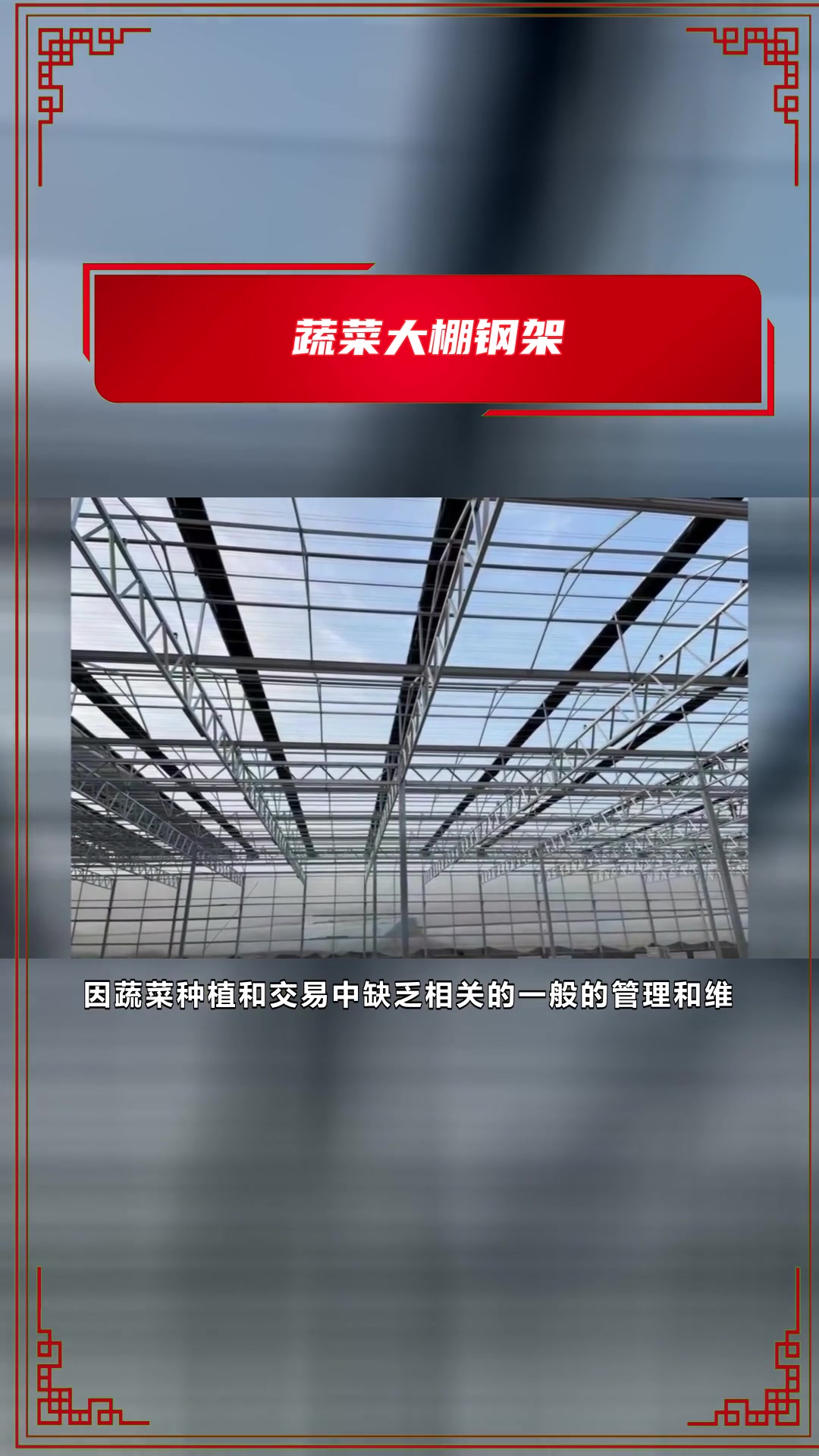 丹东肉鸡养殖大棚