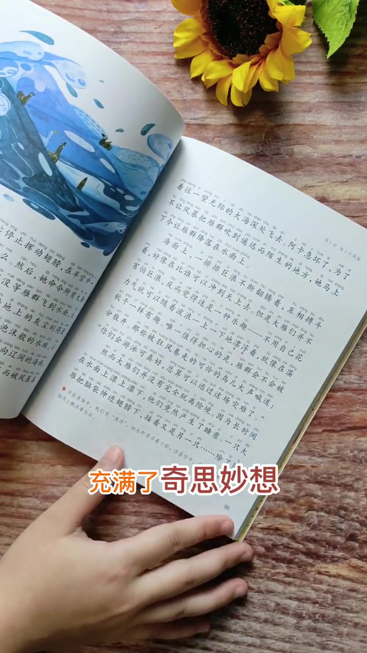 充满想象力的《尼尔斯骑鹅旅行记》好书分享 作文素材 小学生 小学语文 618好物节 618