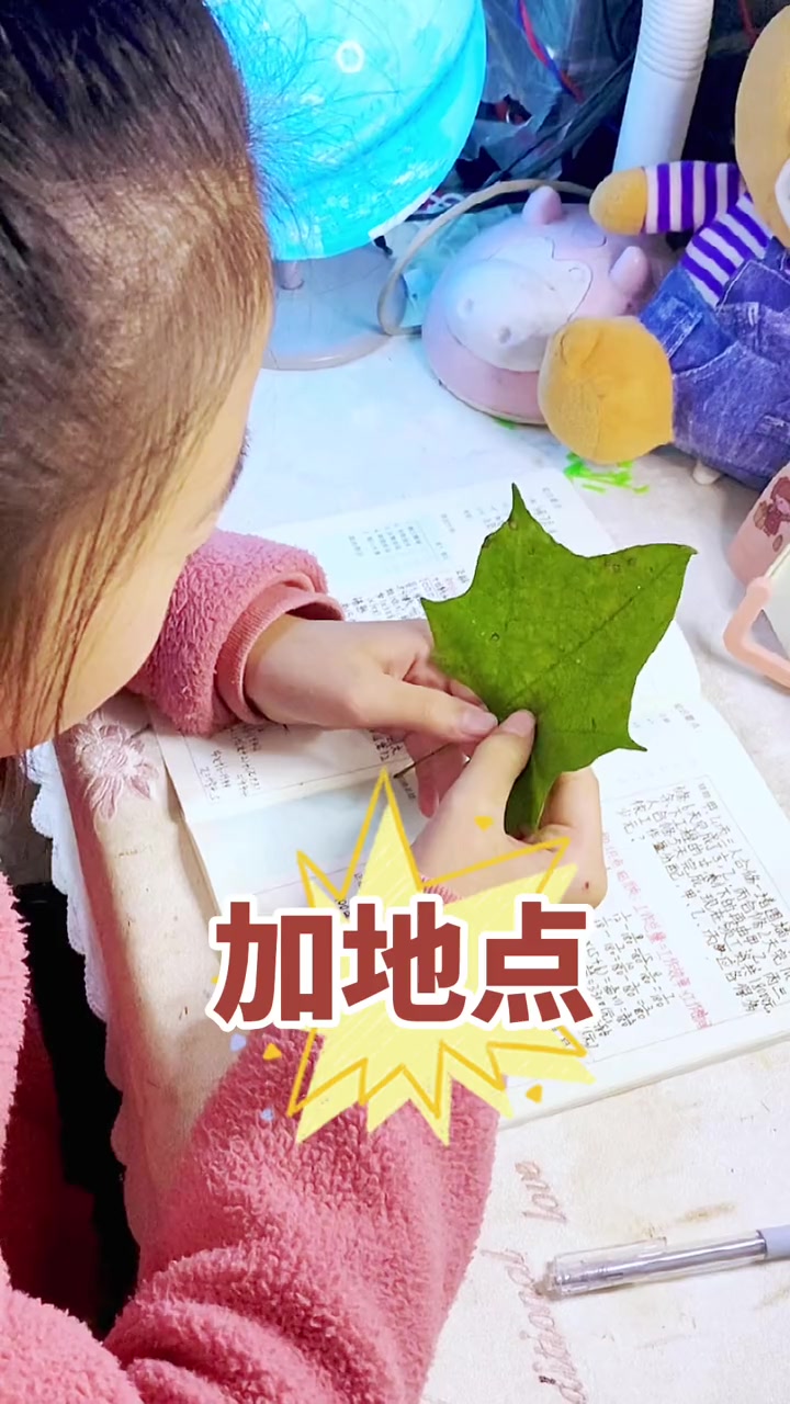 第34集|很多孩子作文无话可写,不妨试试扩句法,从一个简单的词,很快变成优美的句子和段落 