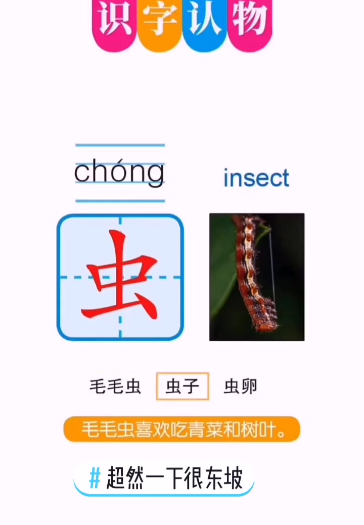 读拼音学汉字 涨知识 超然一下很东坡